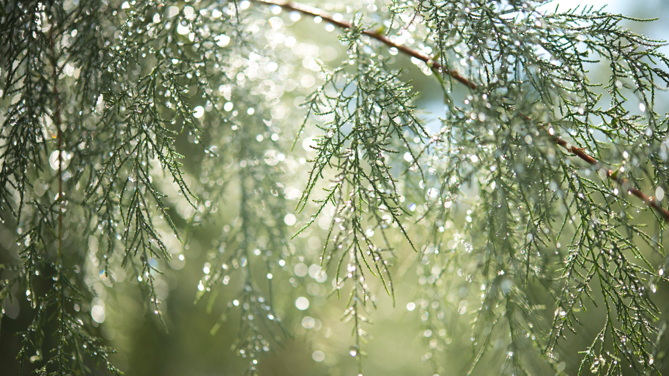dieu de la pluie mexique